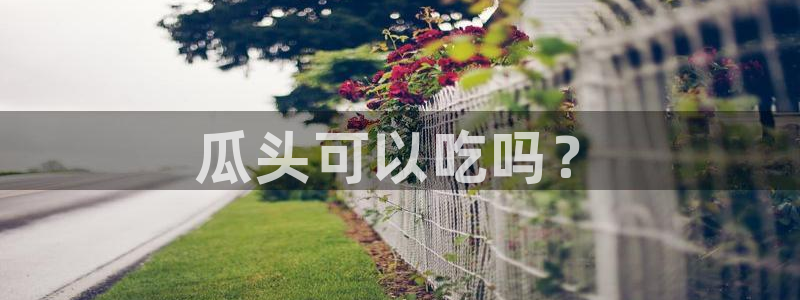 51吃瓜今日吃瓜必吃莫里：瓜头可以吃吗？