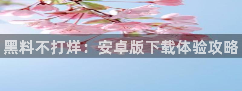 吃瓜吃瓜：黑料不打烊：安卓版下载体验攻略