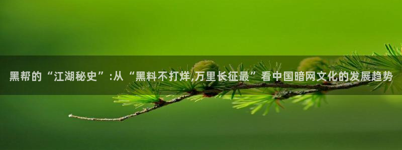 51全网更新最快最全的吃瓜网