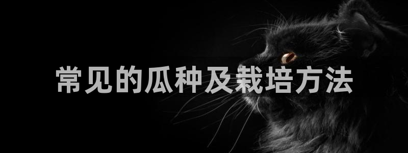 24小时吃瓜不间断：常见的瓜种及栽培方法