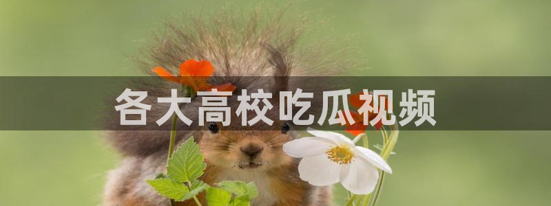高血糖可以吃籽瓜吗:各大高校吃瓜视频