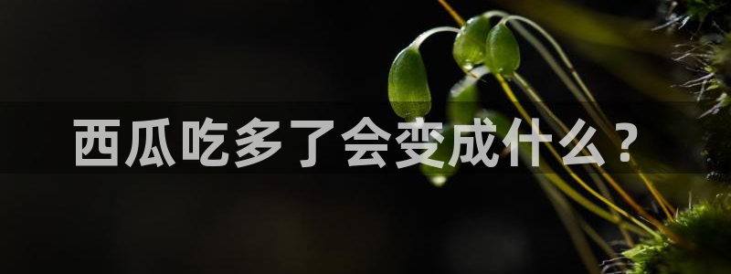 吃瓜发现我家皆大佬：西瓜吃多了会变成什么？