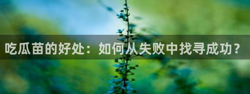 yourport吃瓜网：吃瓜苗的好处：如何从失败中找寻成功？