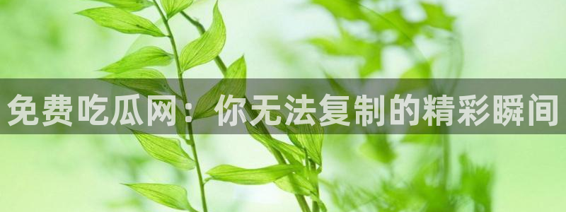 www.吃瓜:免费吃瓜网:你无法复制的精彩瞬间